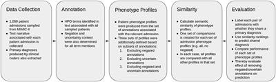 Effects of Negation and Uncertainty Stratification on Text-Derived Patient Profile Similarity